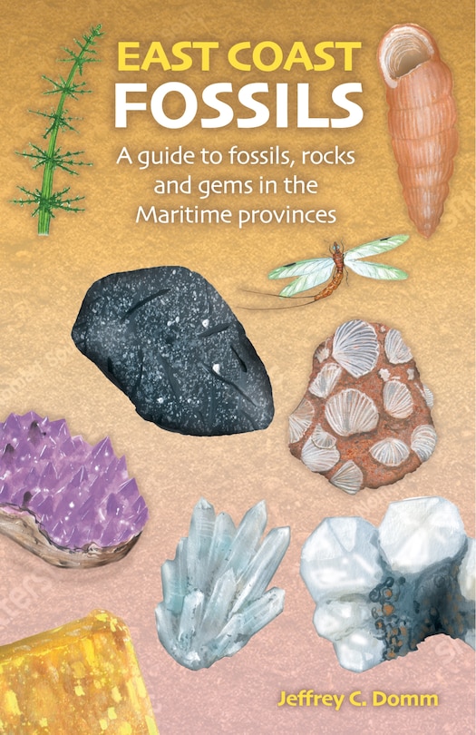 Couverture_East Coast Fossils