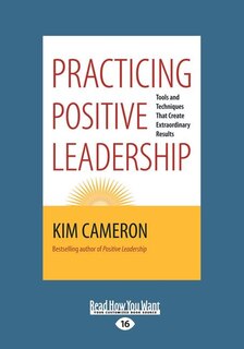 Front cover_Practicing Positive Leadership