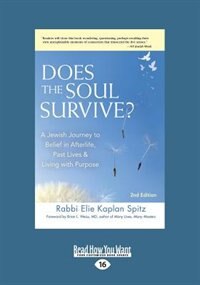 Does the Soul Survive?: A Jewish Journey to Belief in Afterlife, Past Lives & Living with Purpose - 2nd Edition (Large Prin