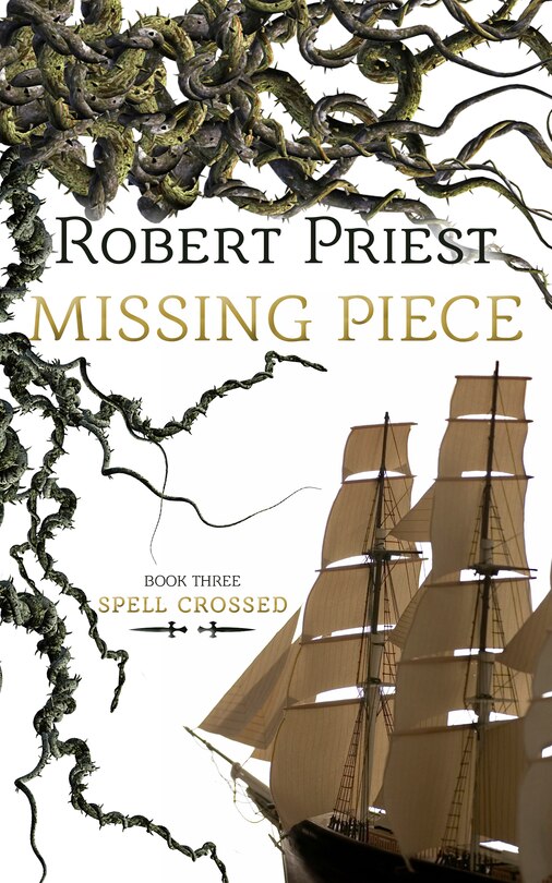 Couverture_Missing Piece
