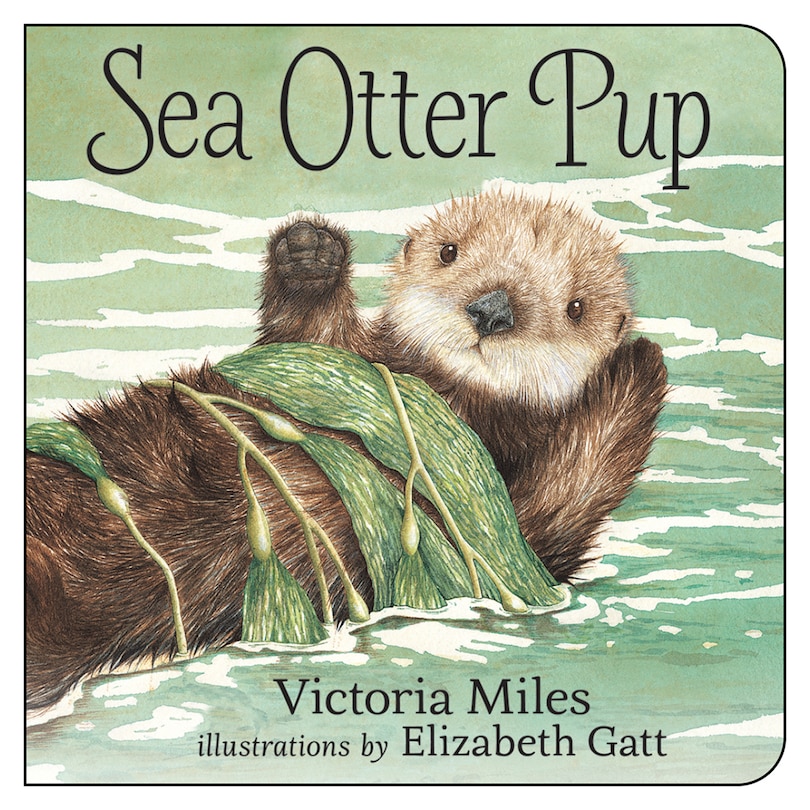 Front cover_Sea Otter Pup