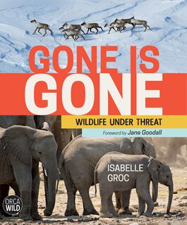 Front cover_Gone Is Gone