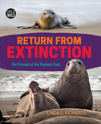 Return From Extinction: The Triumph Of The Elephant Seal