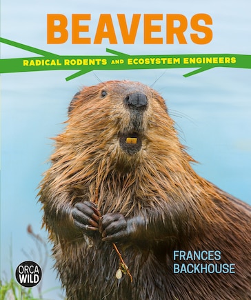 Beavers: Radical Rodents And Ecosystem Engineers