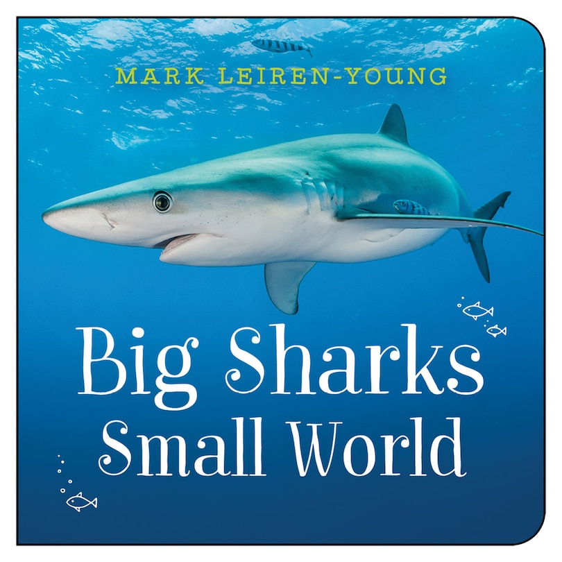 Front cover_Big Sharks, Small World