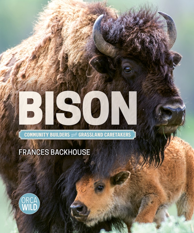 Front cover_Bison