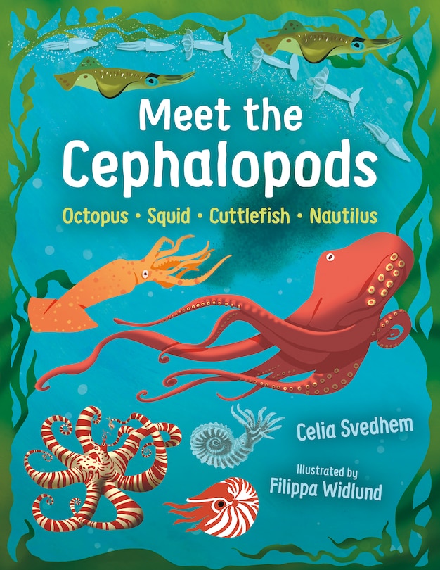 Couverture_Meet the Cephalopods