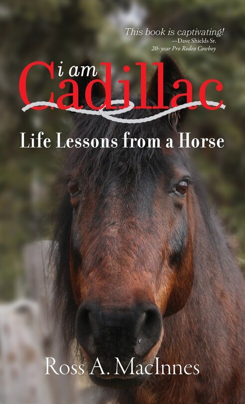 I am Cadillac: Life Lessons from a Horse image number 0
