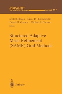 Couverture_Structured Adaptive Mesh Refinement (SAMR) Grid Methods