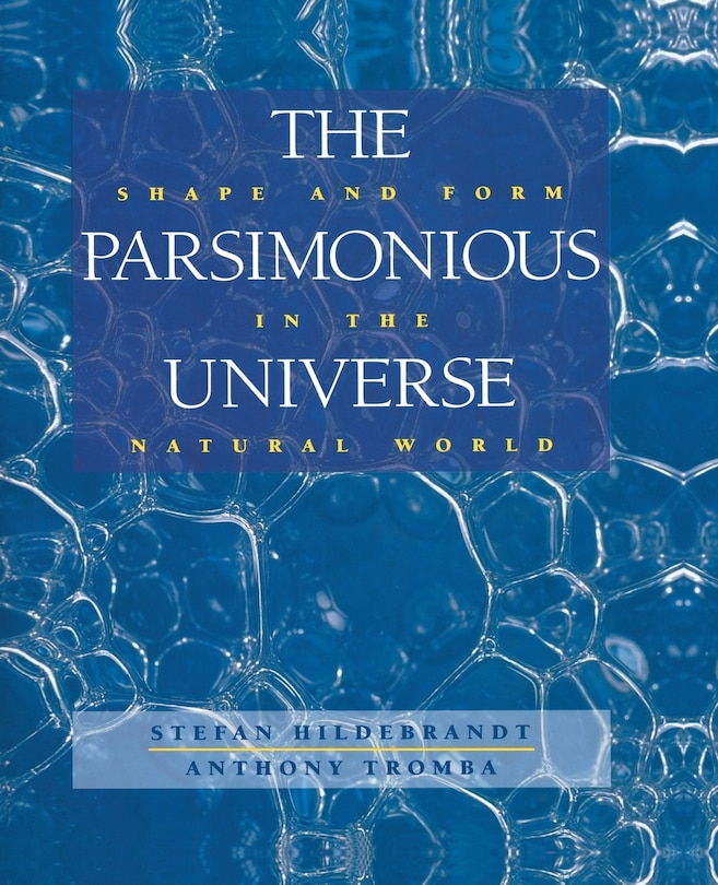 Front cover_Parsimonious Universe