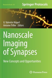 Couverture_Nanoscale Imaging of Synapses