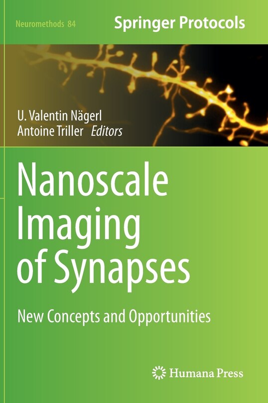 Couverture_Nanoscale Imaging of Synapses