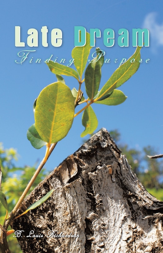 Front cover_Late Dream