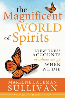 Couverture_The Magnificient World of Spirits