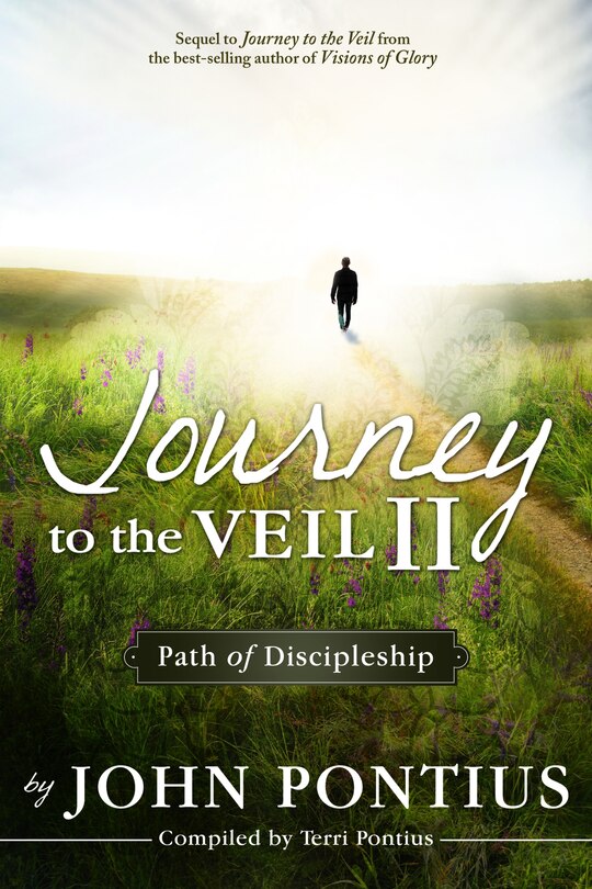 Front cover_Journey to the Veil II