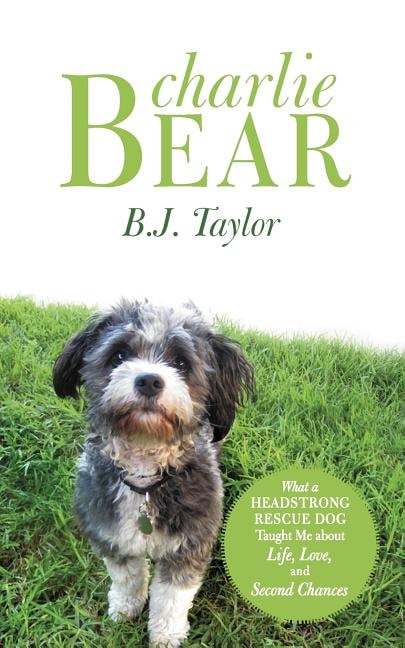 Front cover_Charlie Bear