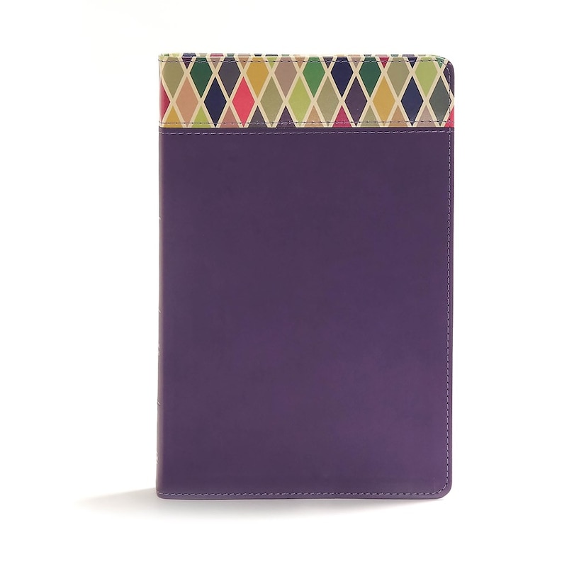 Front cover_Csb Rainbow Study Bible, Purple Leathertouch