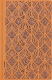 Couverture_Teen To Teen Journal