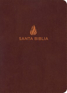 Front cover_Nvi Biblia Letra Grande Tamaño Manual Marrón, Piel Fabricada