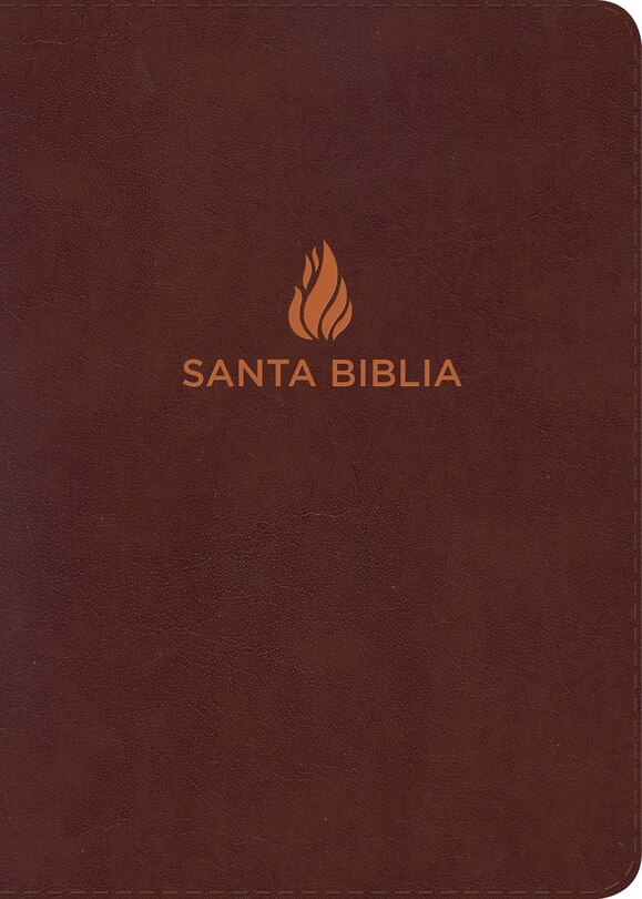 Front cover_Nvi Biblia Letra Grande Tamaño Manual Marrón, Piel Fabricada