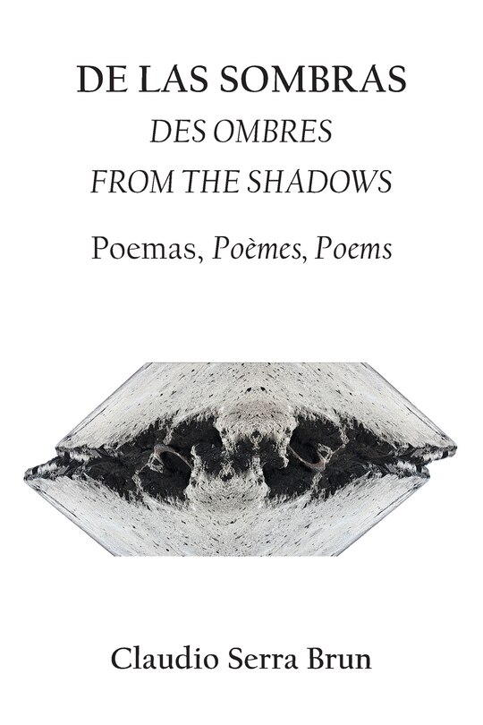 Couverture_DE LAS SOMBRAS DES OMBRES from the shadows