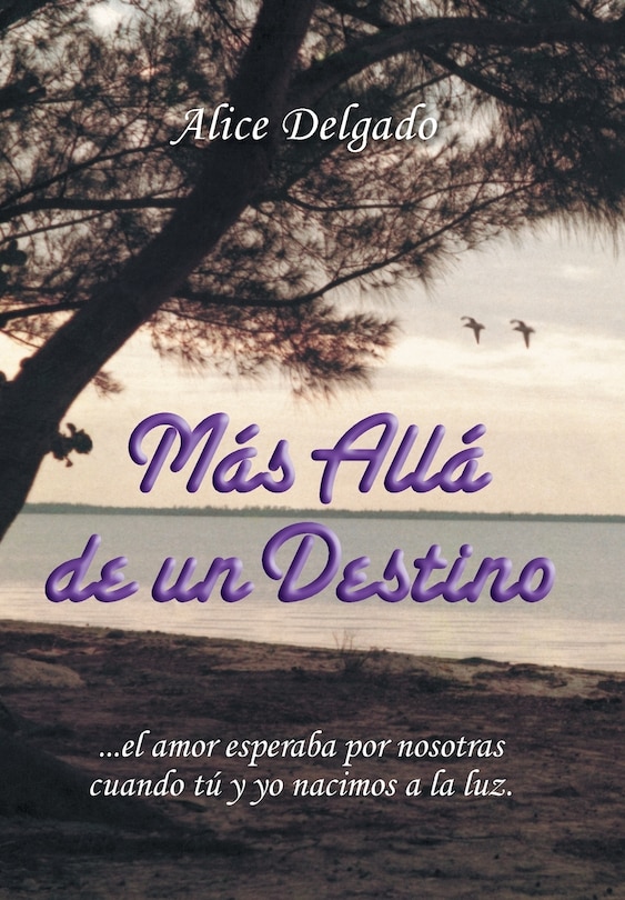 Couverture_Más allá de un destino