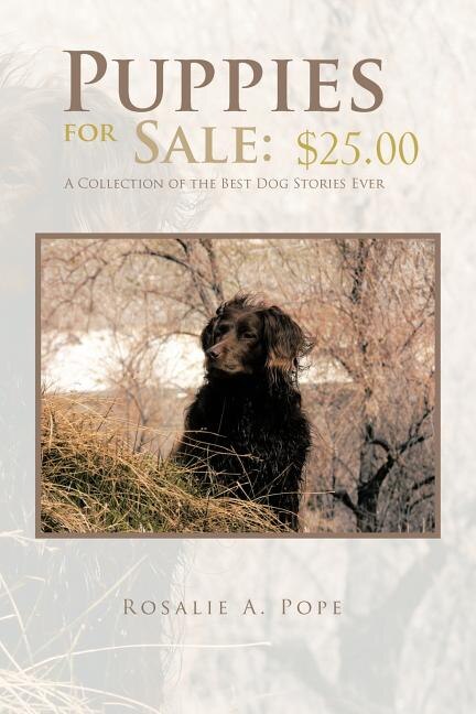 Best puppies for sale best sale