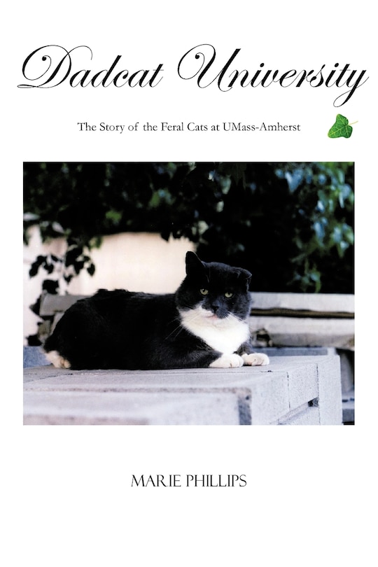 Front cover_Dadcat University