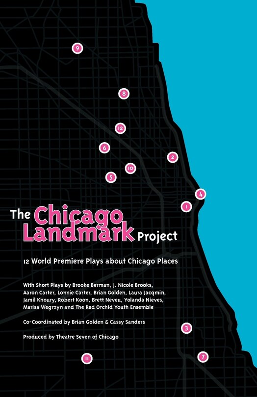 Front cover_The Chicago Landmark Project