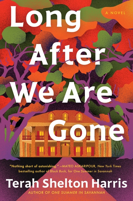 Front cover_Long After We Are Gone
