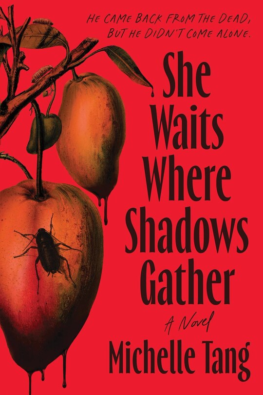 Couverture_She Waits Where Shadows Gather