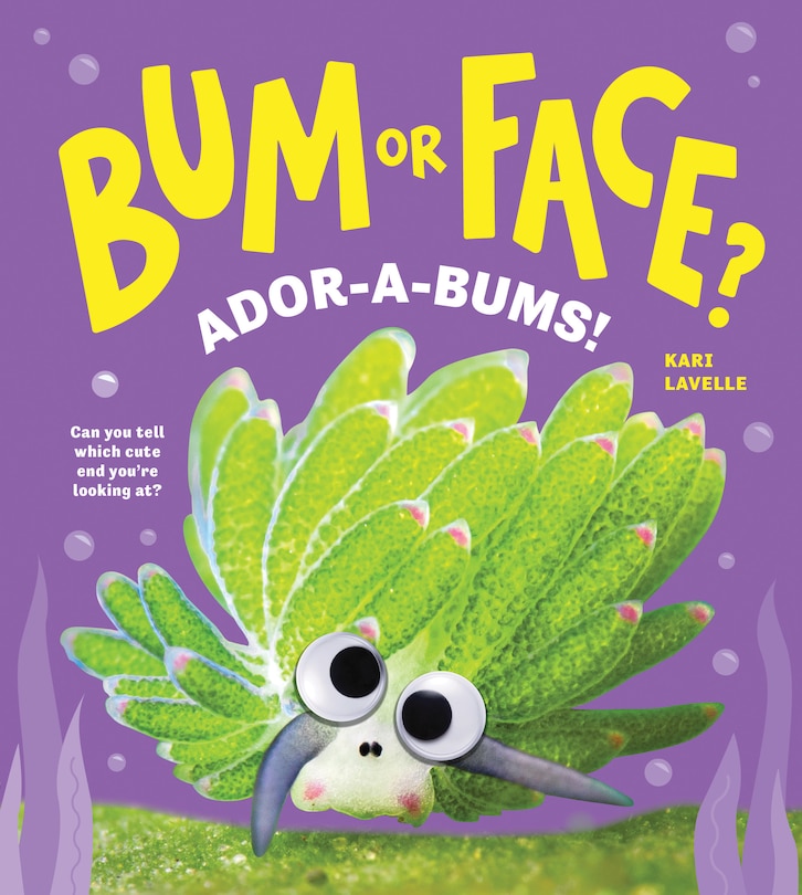 Front cover_Bum or Face? Volume 4