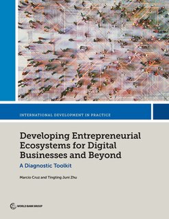 Couverture_Developing Entrepreneurial Ecosystems for Digital Businesses and Beyond
