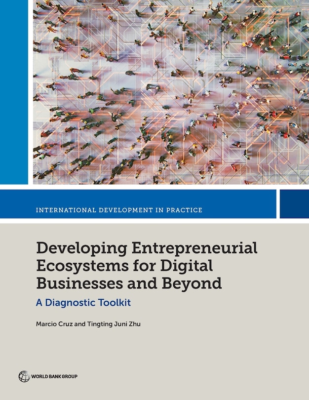 Couverture_Developing Entrepreneurial Ecosystems for Digital Businesses and Beyond
