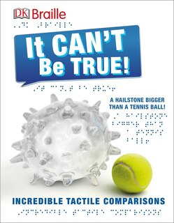 Couverture_Dk Braille: It Can't Be True