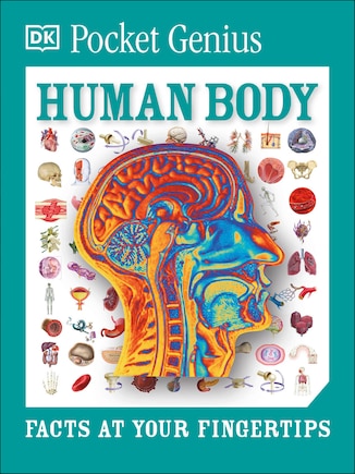 Pocket Genius: Human Body: Facts At Your Fingertips