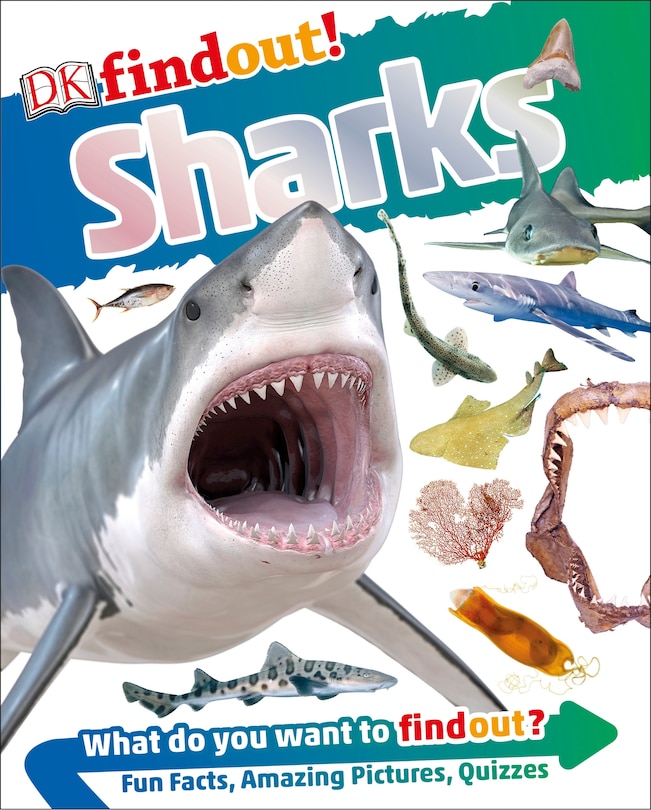 Couverture_Dkfindout! Sharks