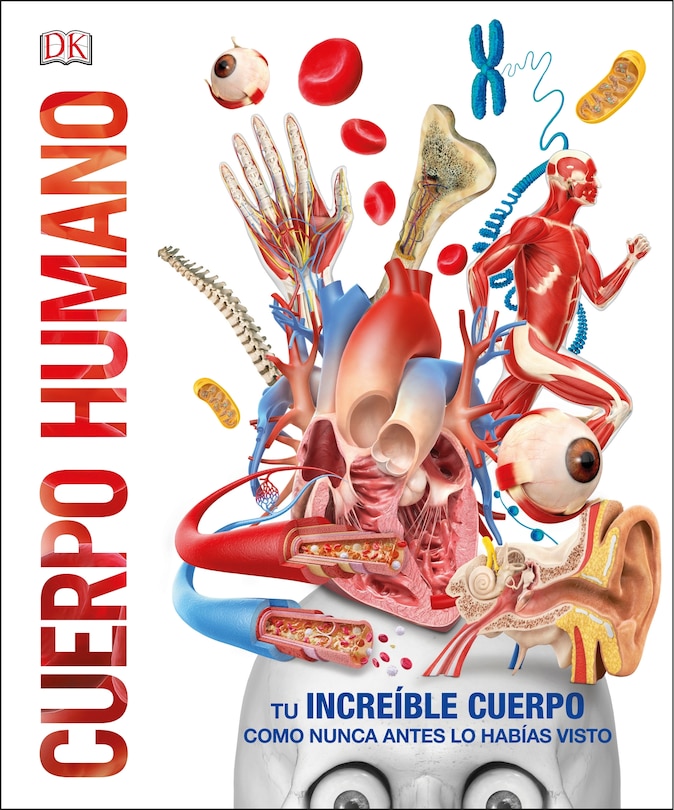 Front cover_Cuerpo humano (Knowledge Encyclopedia Human Body!)