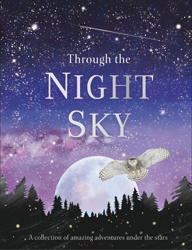 Couverture_Through The Night Sky