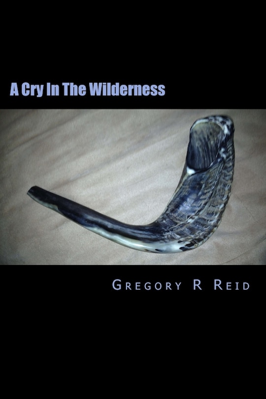 Couverture_A Cry In The Wilderness