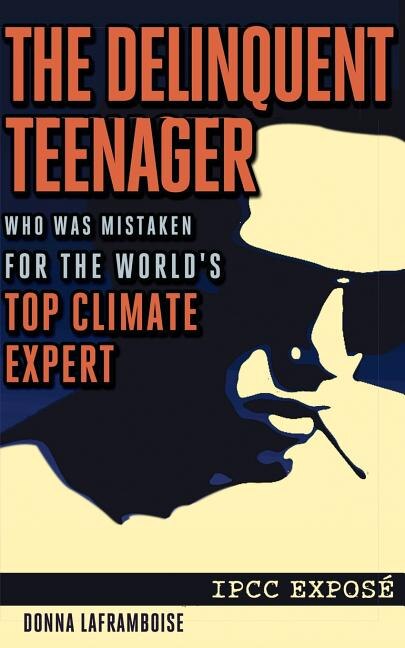 Couverture_The Delinquent Teenager Who Was Mistaken for the World's Top Climate Expert