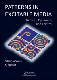 Front cover_Patterns In Excitable Media