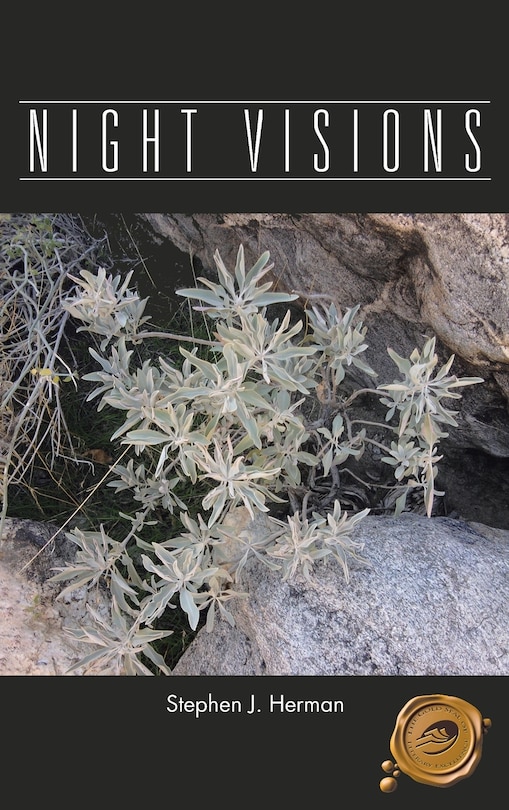 Front cover_Night Visions