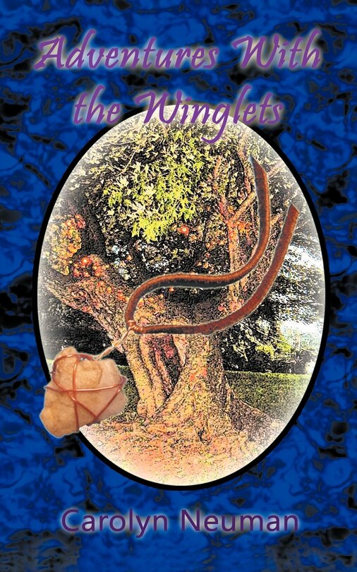 Front cover_Adventures With The Winglets