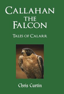 Couverture_Callahan The Falcon