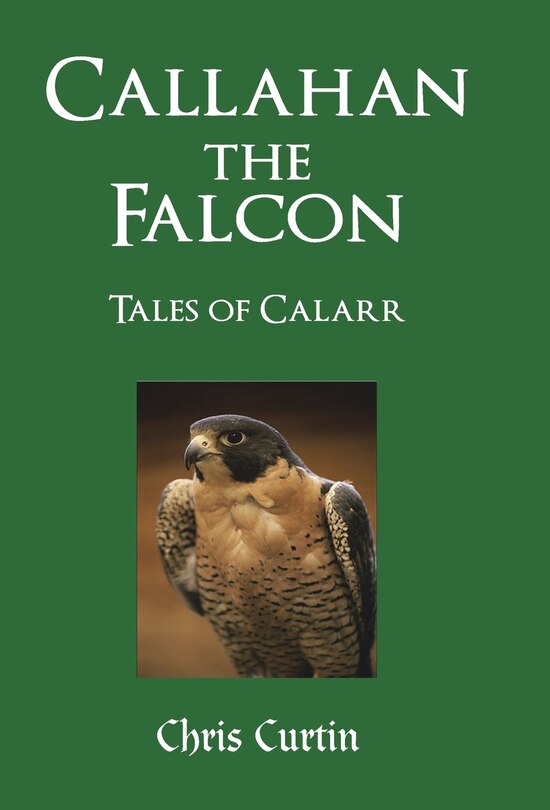 Couverture_Callahan The Falcon