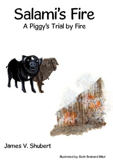 Front cover_Salami's Fire