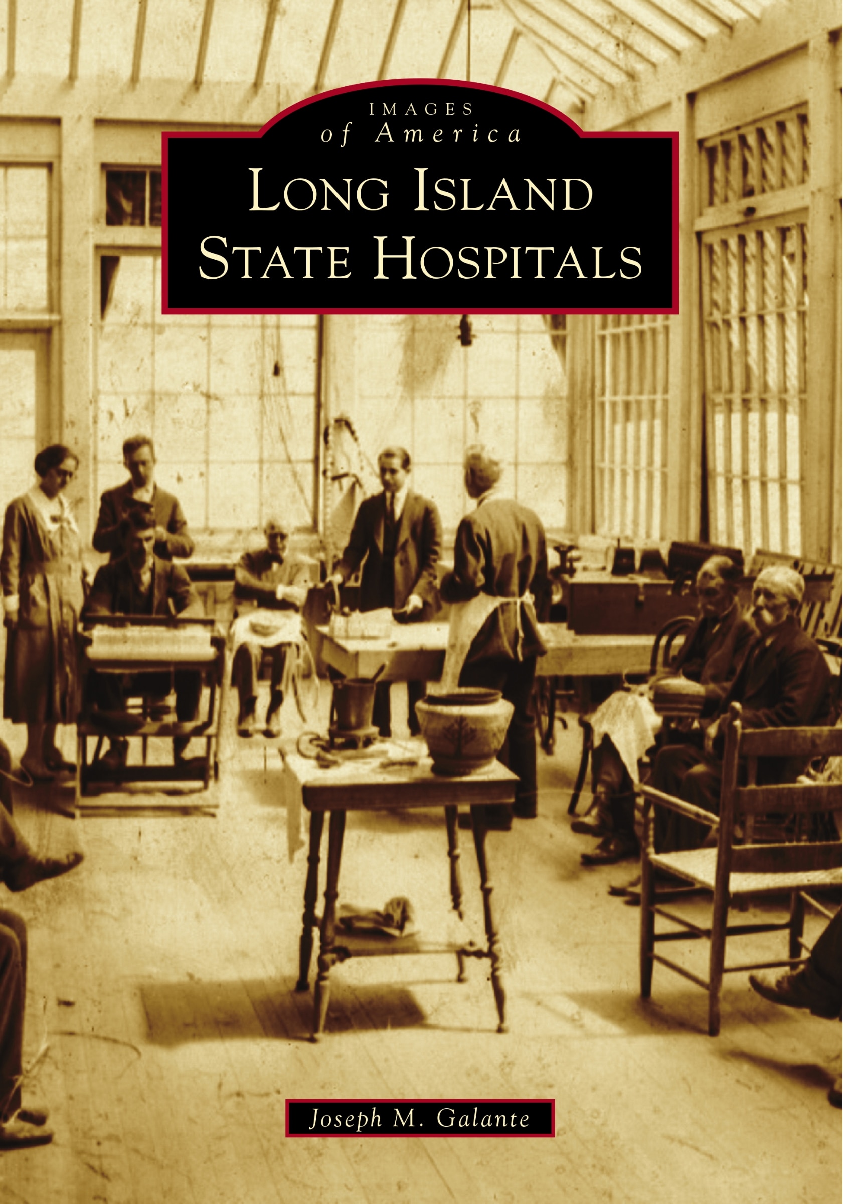 Original front cover of Long Island State Hospitals by Joseph Galante