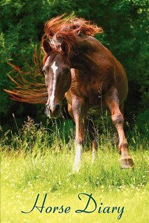Front cover_Horse Diary