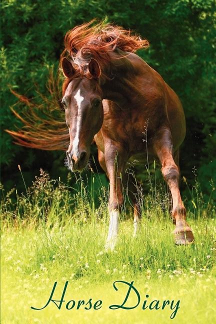 Front cover_Horse Diary